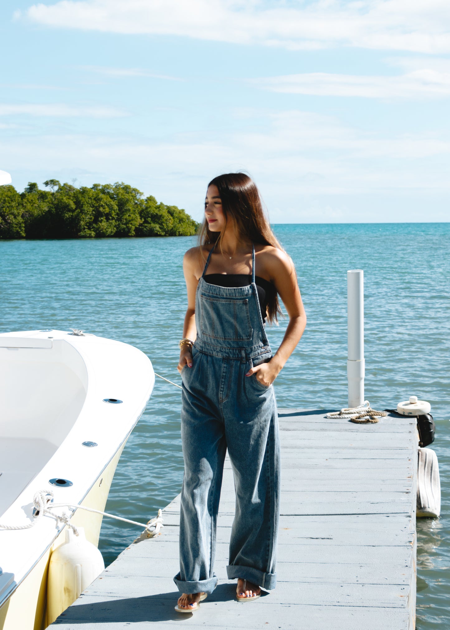 Denim Backless Jumpsuit